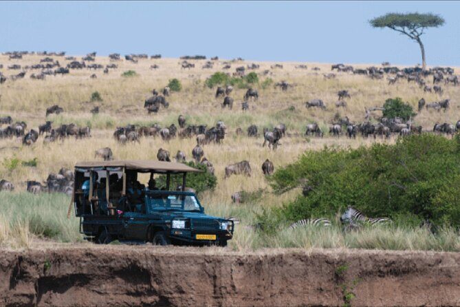 Kenya safari - Valuable Aspects for Travelers