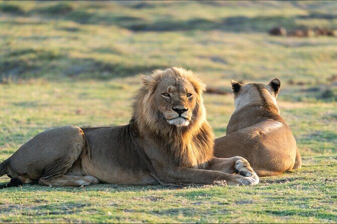 Kenya safari - The Sum Up: Who Is This Tour For?