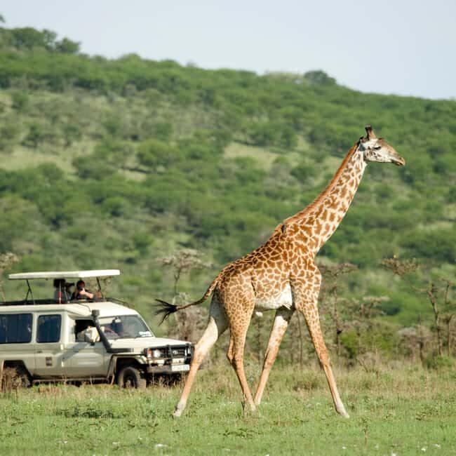 Kenya & Tanzania: 18-Day Safari with Zanzibar Beach Stay - The Itinerary in Detail