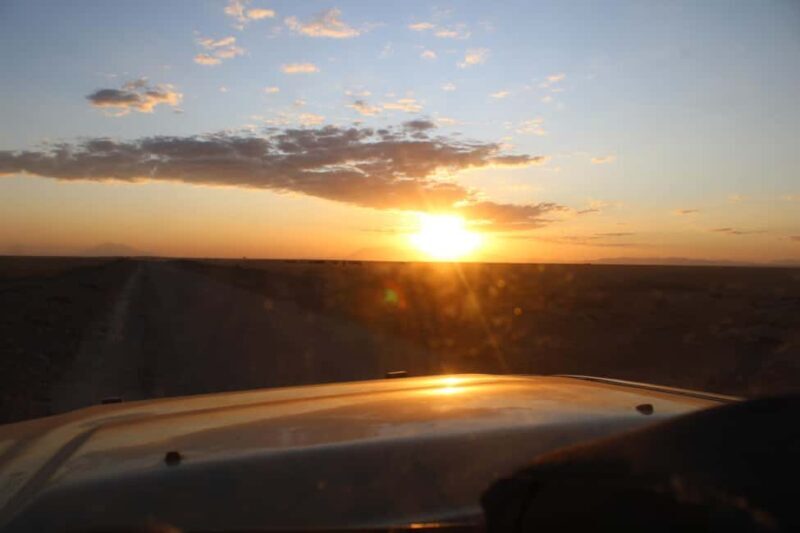 Kenyan Splendor: A 10-Day Safari - Key Points