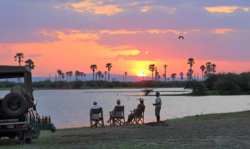 Kenyan Splendor: A 10-Day Safari - Climbing Higher: Mount Kenya and Its Unique Lodging