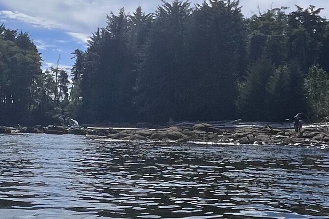 Keogh River Bear Kayaking Tour - Key Points