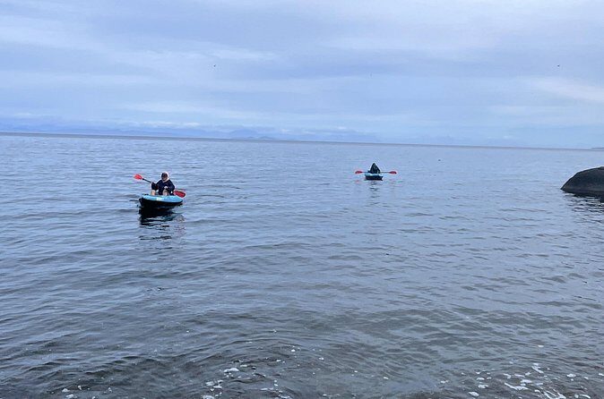 Keogh River Bear Kayaking Tour - Analyzing the Cost and Value