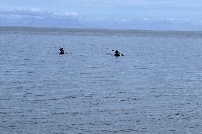 Keogh River Bear Kayaking Tour - Who Is This Tour Best For?