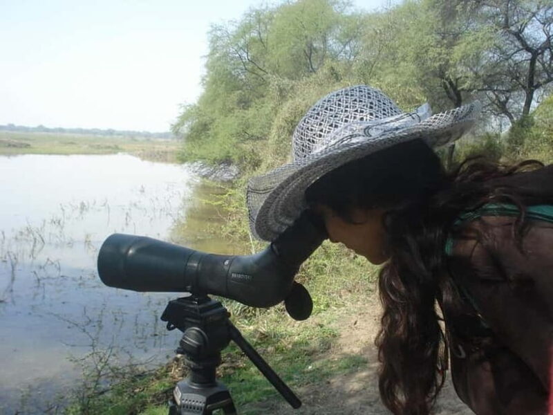 Keoladeo National Park Tickets and Guided Tour - The Sum Up