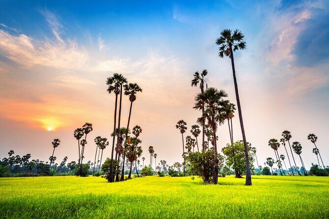 Kerala 6 Day Tour Munnar Thekkady Alleppey Kovalam Beaches - Transportation and Comfort