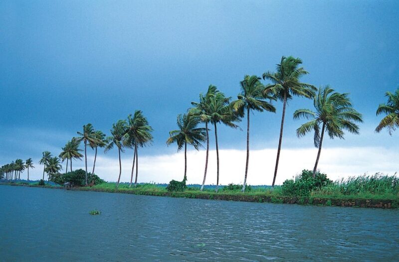 Kerala: Alappuzha River Cruise with Village Walk - Introducing the Experience: A Slice of Kerala Life