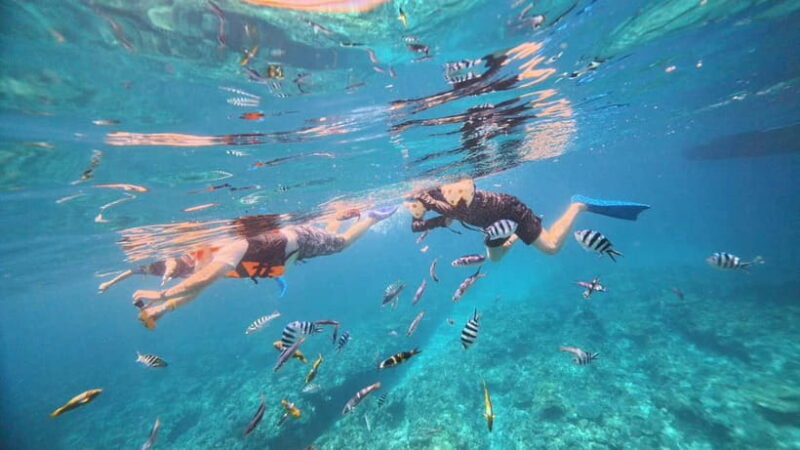 Kerama Half-Day Snorkeling Tour - FAQs
