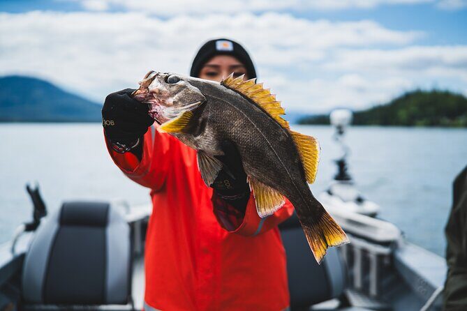 Ketchikan Alaska Fishing and Wilderness Dining - Price and Value