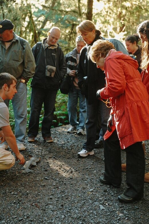 Ketchikan: Alaska Rainforest Sanctuary and Totem Park Walk - A Detailed Look at the Alaska Rainforest Sanctuary Tour