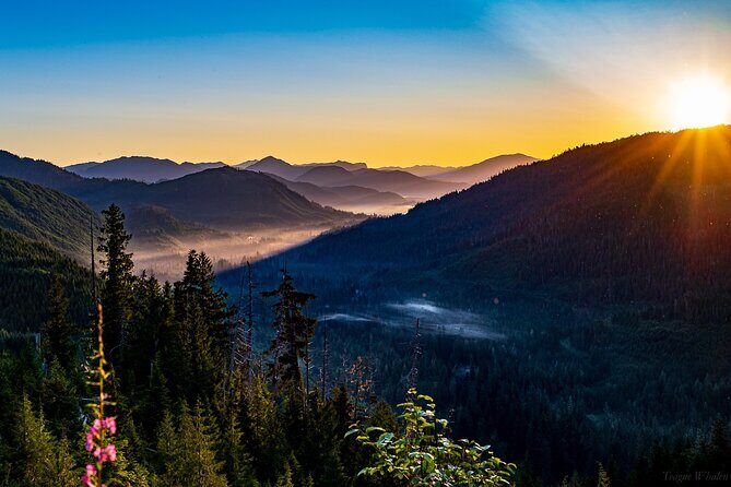 Ketchikan Backcountry Driving Tour Through the Tongass - The Sum Up