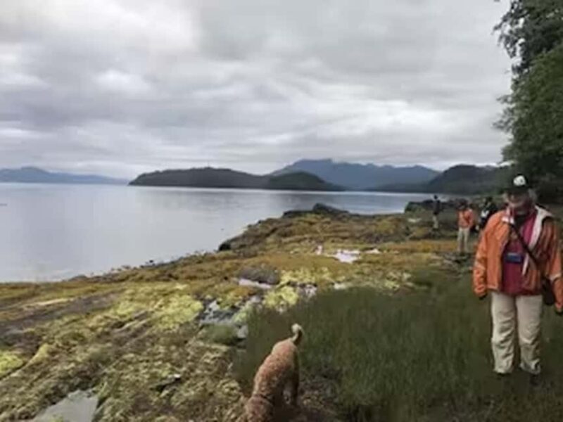 Ketchikan: E-Bike and Hike Tour - Why This Tour Works for You