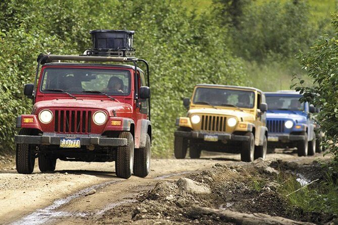 Ketchikan Jeep and Canoe Safari - The Detailed Journey: What to Expect