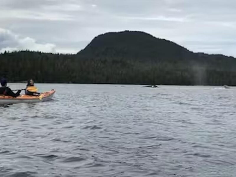 Ketchikan: Kayak Eco-Tour - Frequently Asked Questions
