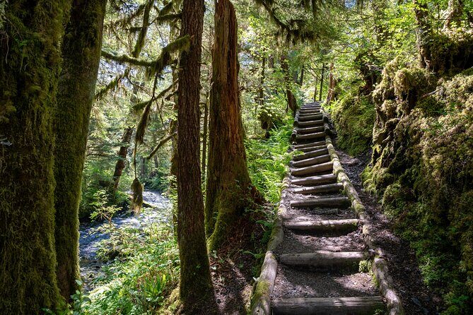 Ketchikan Magical Old-Growth Creek Trek Guided Tour - An In-Depth Look at the Trek