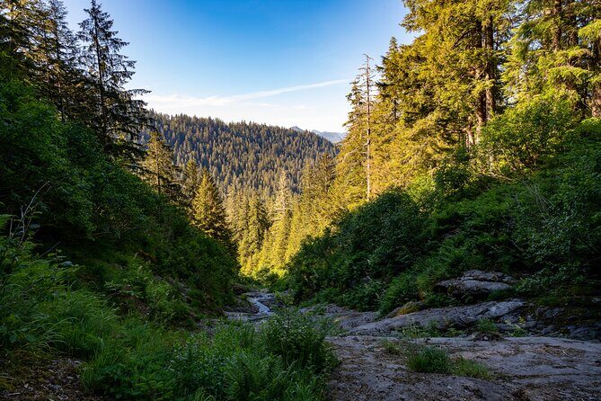 Ketchikan Mountain Lake Trek to Avalanche Chute - FAQ