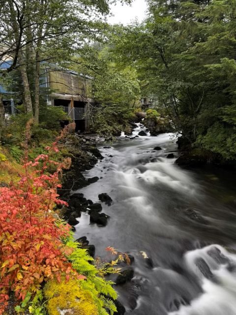 Ketchikan Photo Safari - An Introduction to the Ketchikan Photo Safari Experience