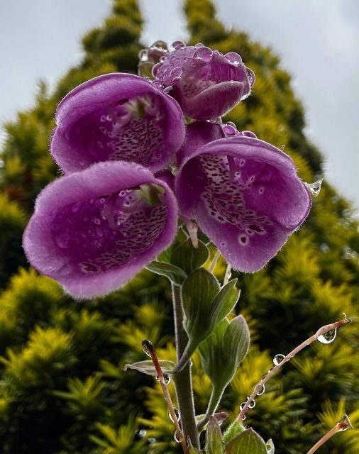 Ketchikan Photo Safari - Final Thoughts: Who Should Join?