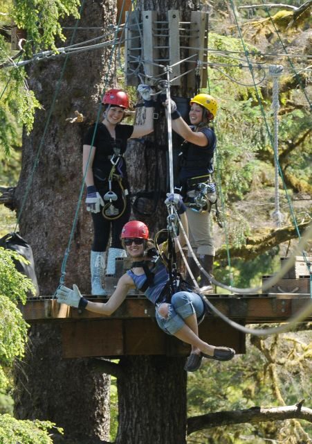 Ketchikan: Rainforest Canopy & Zipline Adventure - An In-Depth Look at the Experience