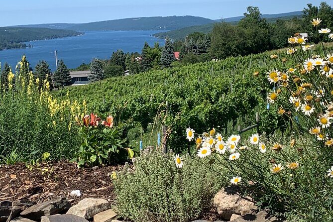 Keuka Lake Wine Tour - Customizable - Who Will Love This Tour?