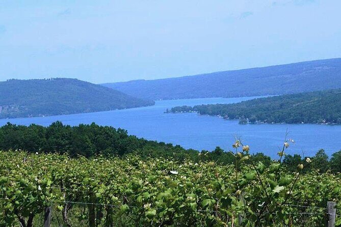 Keuka Lake Winery Tour - Key Points