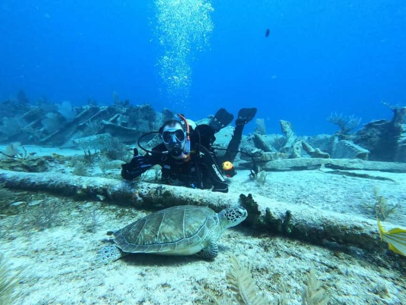 Key Largo: 2-Tank Shallow Reef Dive with Guide & Photos - Practical Details: What You Need to Know