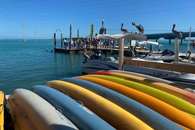 Key Largo and Islamorada Private Tour by Cabriolet Bus - Exploring the Itinerary in Detail