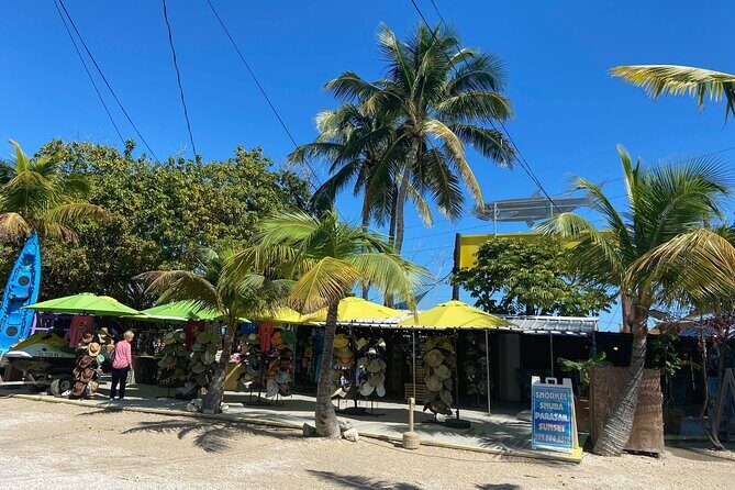 Key Largo and Islamorada Private Tour by Cabriolet Bus - Authentic Experiences and Traveler Insights