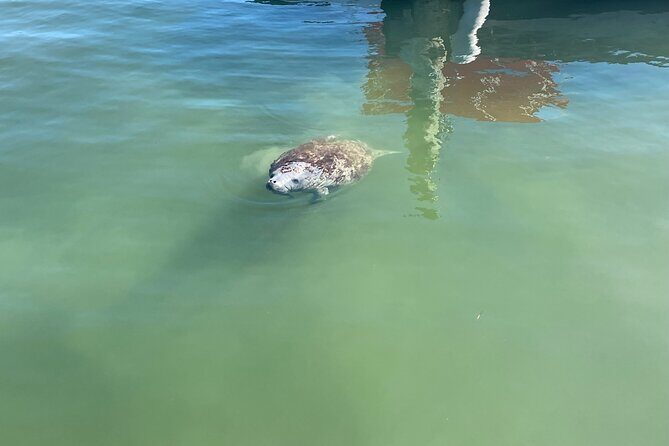 Key Largo Bay Sunset Tour - FAQs: Your Practical Questions Answered