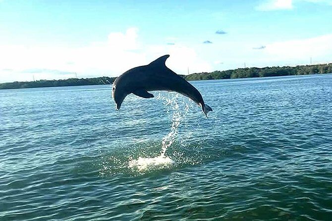 Key Largo Mangrove Private Eco-Tours - Key Points