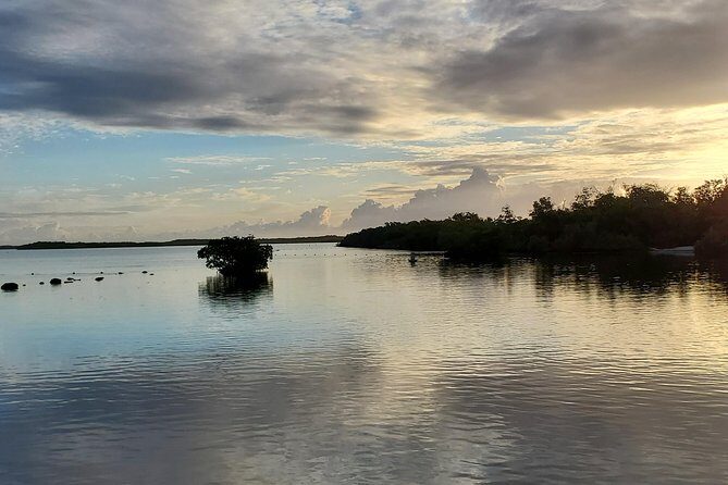 Key Largo Mangrove Private Eco-Tours - The Practical Details: What You Need to Know