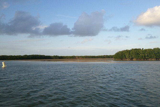 Key Largo Mangrove Private Eco-Tours - The Sum Up: Who Will Love This Tour?