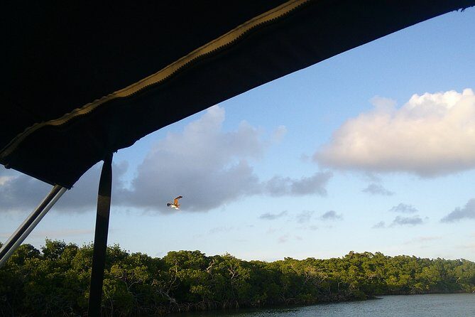 Key Largo Mangrove Private Eco-Tours - FAQ