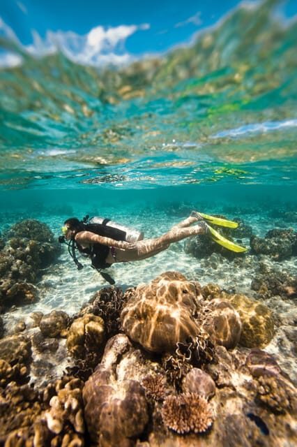 Key Largo: Molasses Reef Novice to Intermediate Dive - Key Points