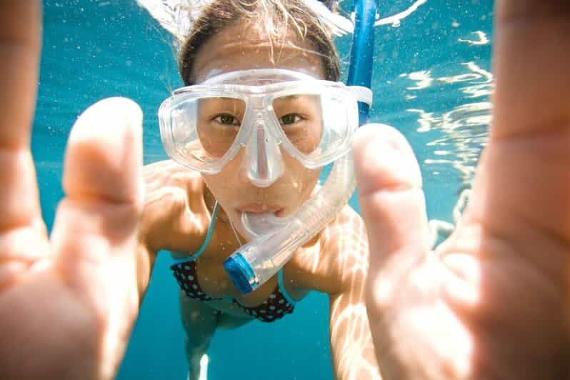 Key Largo: Molasses Reef Snorkeling Trip - What This Snorkeling Trip Offers