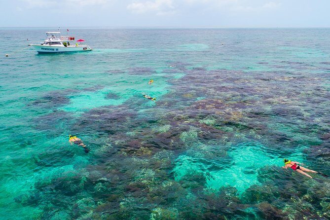 Key Largo Snorkeling Tour - rental mask, fins and vest INCLUDED - The Details of the Tour Experience