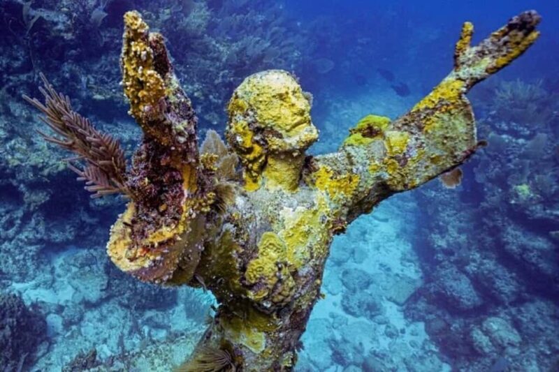 Key Largo: Snorkeling Trip - Final Thoughts: Who Should Book This?