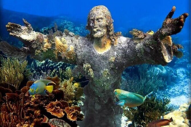 Key Largo Snorkeling Trips & Sandbar Tours - What to Expect from This Private Snorkeling Tour