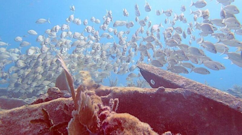 Key Largo: Spiegel Grove Wreck Deep Dive - FAQ