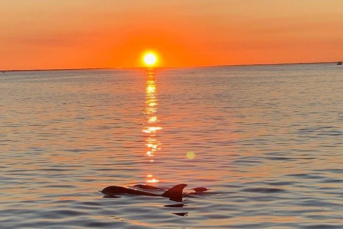 Key Largo Sunset Cruise - Key Largo Sunset Cruise: A Detailed Review