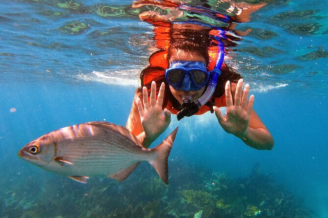Key Largo Two Reef Snorkel Tour - All Snorkel Equipment Included! - An In-Depth Look at the Key Largo Two Reef Snorkel Tour