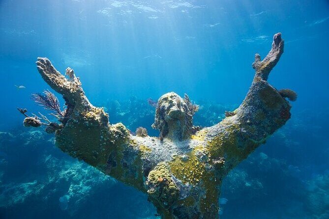 Key Largo Two Reef Snorkel Tour - All Snorkel Equipment Included! - FAQ: Your Questions Answered