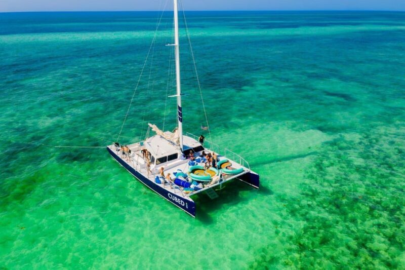Key West: Afternoon Catamaran Sail and Dolphin Watch - Setting Sail in Style: What to Expect