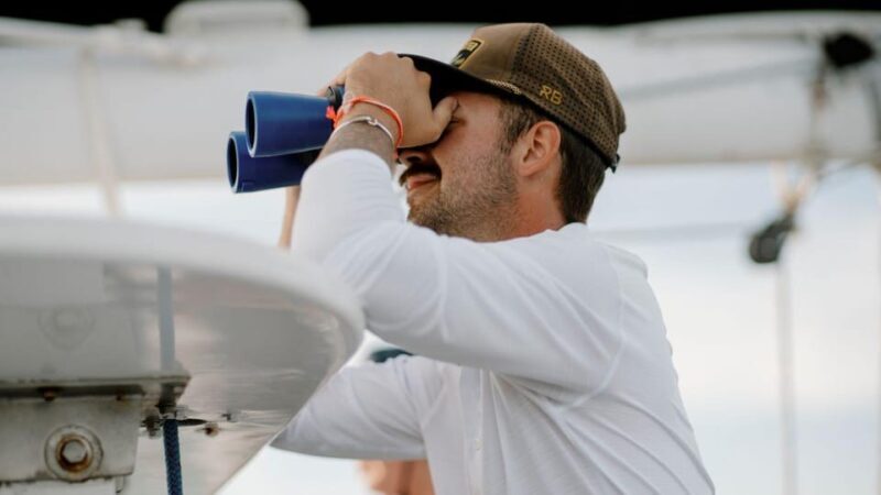 Key West: Afternoon Catamaran Sail and Dolphin Watch - The Experience: It’s About More Than the Dolphins