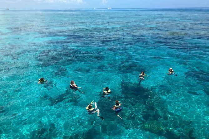 Key West Afternoon Reef Snorkeling with Open Bar - FAQ