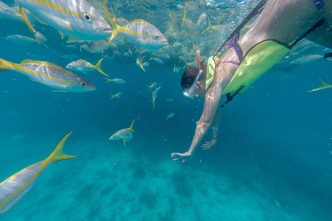 Key West Afternoon Snorkel Sail with Unlimited Cocktails! - Who Should Book This Tour?