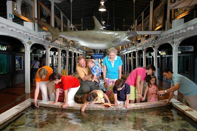 Key West Aquarium Admission - The Experience: What to Expect Inside the Aquarium