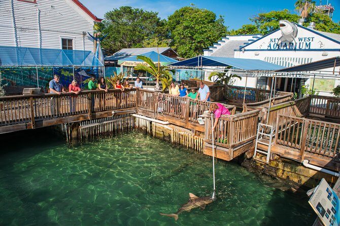 Key West Aquarium Admission - Practical Tips for Visiting