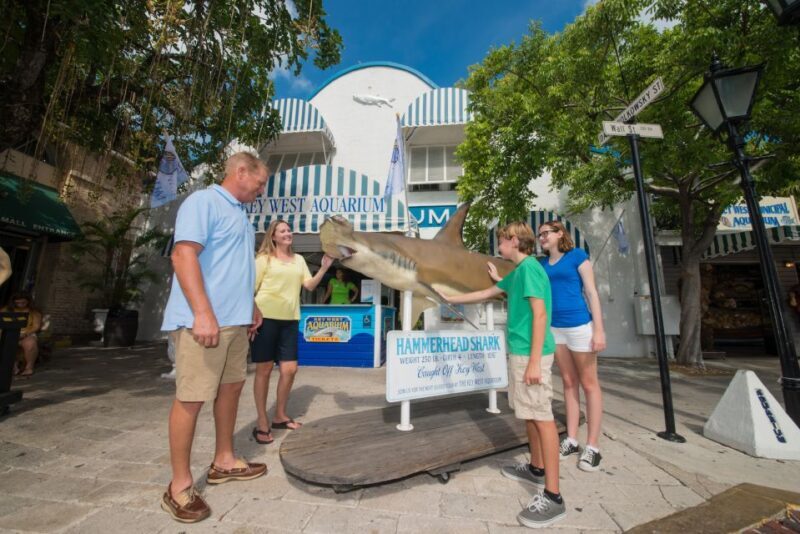 Key West Aquarium Tickets - An In-Depth Look at the Key West Aquarium Experience