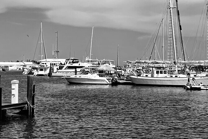 Key West Art History Private Tour - Who Would Love This Tour?